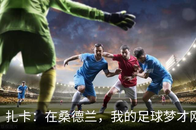 扎卡：在桑德兰，我的足球梦才刚刚开始